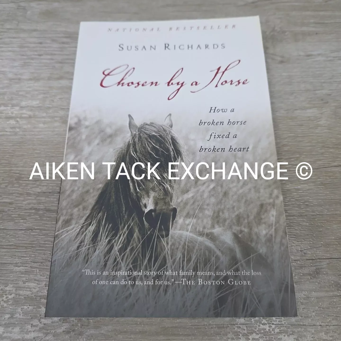 Chosen by a Horse by Susan Richards
