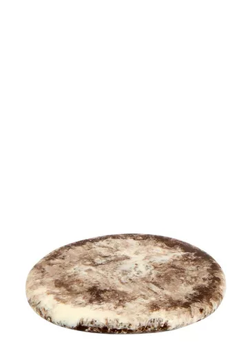 DINOSAUR DESIGNS Temple Coaster
